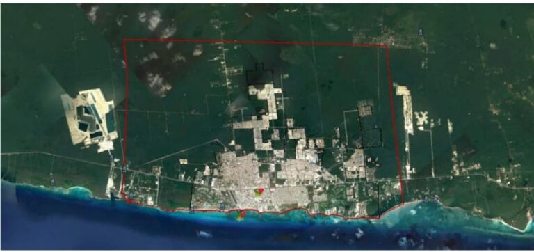 JAGUAR Y RESERVAS DEL CARIBE, EN PELIGRO POR NUEVO PDU PARA TREN MAYA