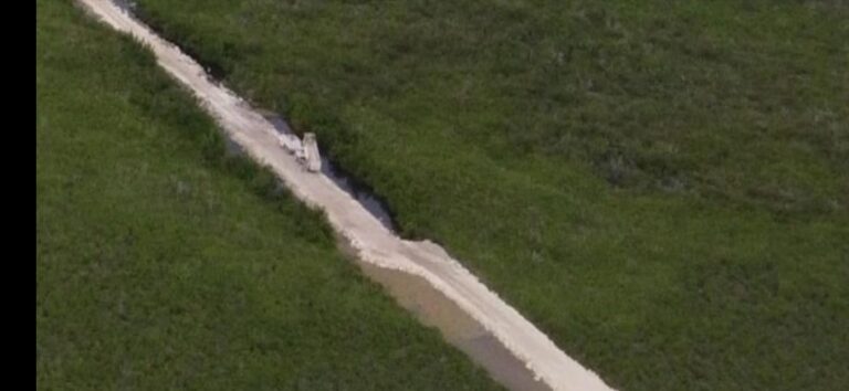 EXIGEN DETENER TALA CLANDESTINA; RELLENO DE HUMEDALES Y MANGLARES EN TULUM