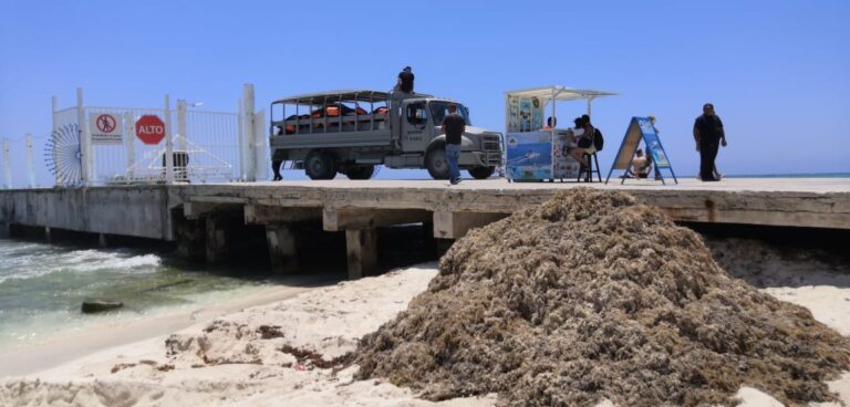 avance de un 25%, ya que se han alcanzado a montar alrededor de 700 metros lineales, entre los muelles de la avenida Constituyentes y la terminal marítima de Playacar.