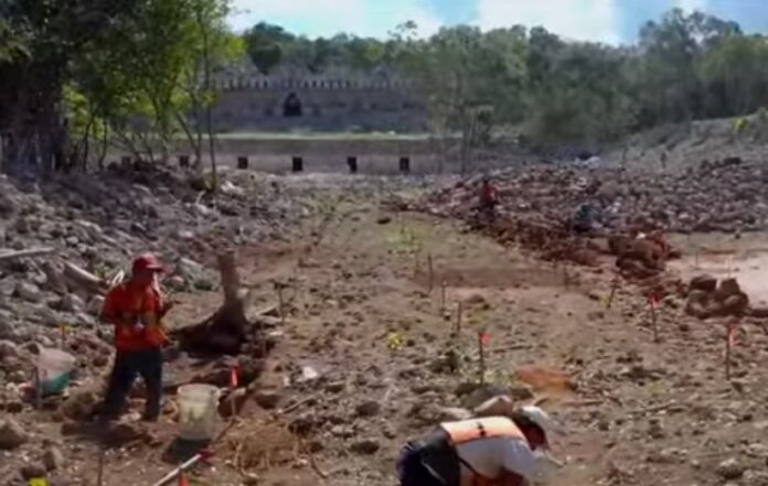 Rescatan 27 zonas arqueológicas en la ruta del Tren Maya