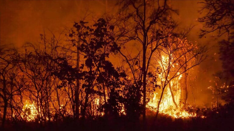 OFRECE MÉXICO AYUDA AL GOBIERNO CHILENO TRAS LOS INCENDIOS EN VALPARAÍSO