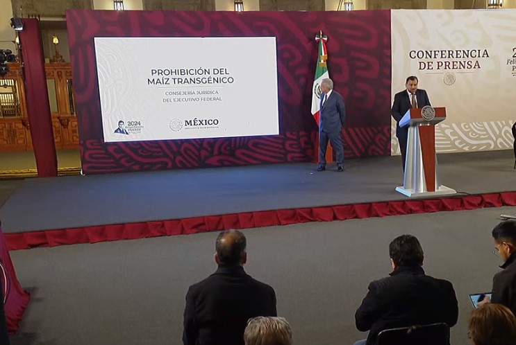 MÉXICO AUTOSUFICIENTE EN MAÍZ PARA CONSUMO HUMANO, PERO URGE REFORMA PARA TRANSGÉNICOS