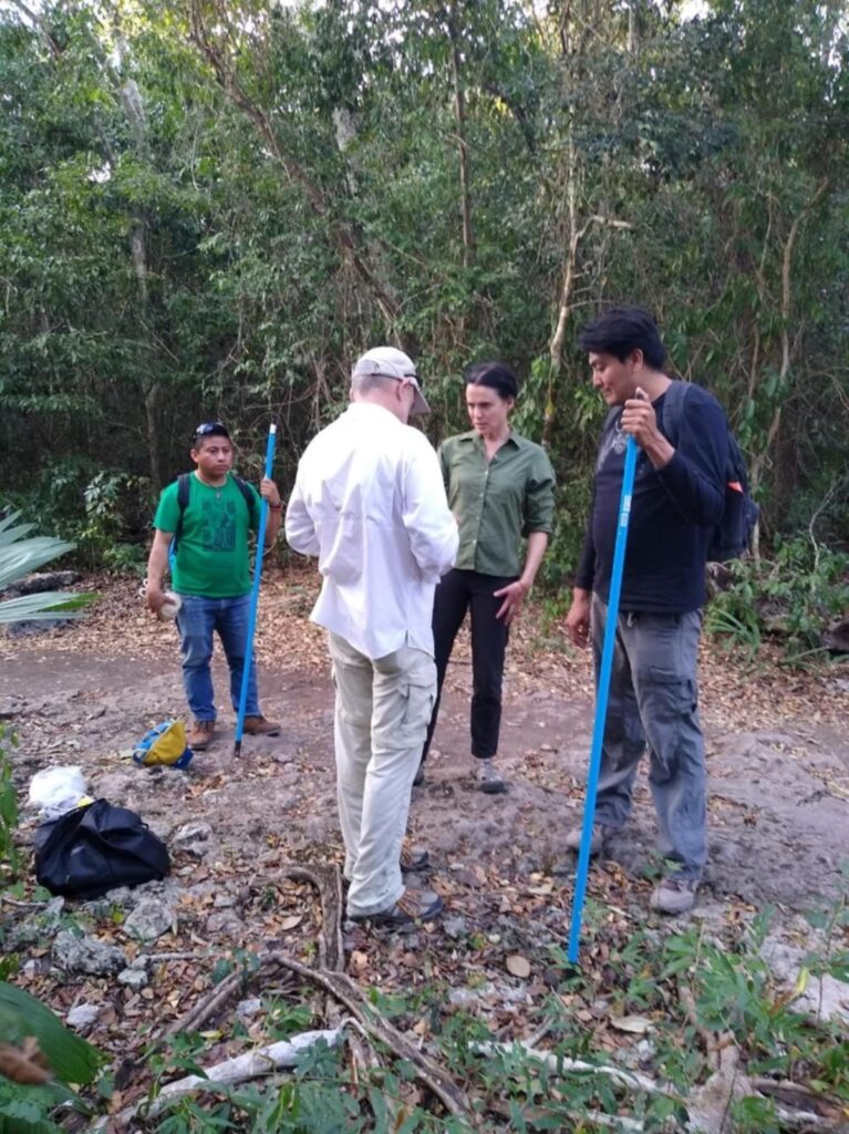 DESCUBREN POR VEZ PRIMERA LA PRESENCIA DEL MURCIÉLAGO OJÓN PELUDO (CHIRODERMA VILLOSUM) EN COZUMEL