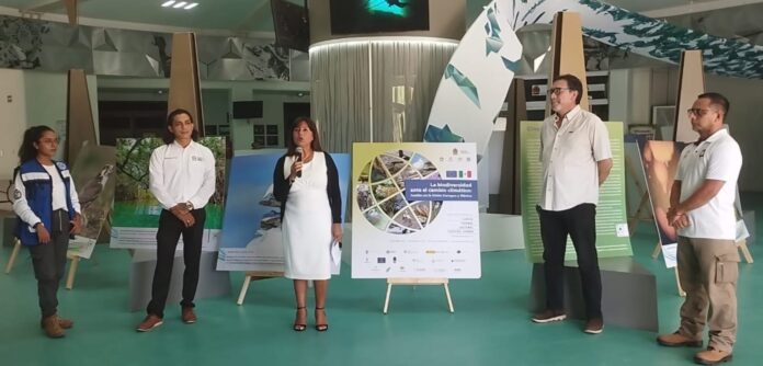 -Posteriormente se presentará en los planetarios de Chetumal y Cozumel