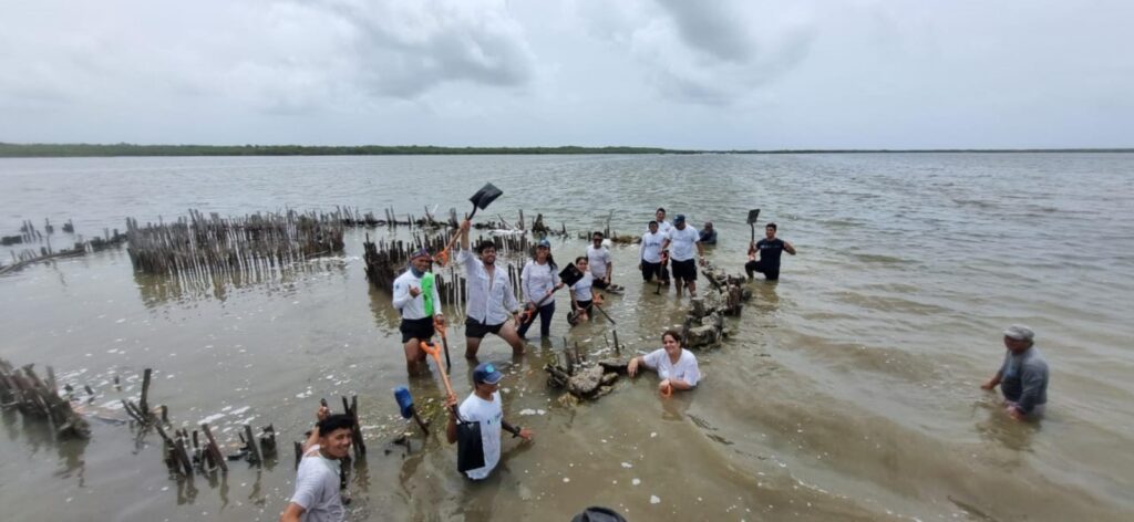 REALIZAN JORNADA DE RESTAURACIÓN DE MANGLAR EN PUNTA SUR DE COZUMEL