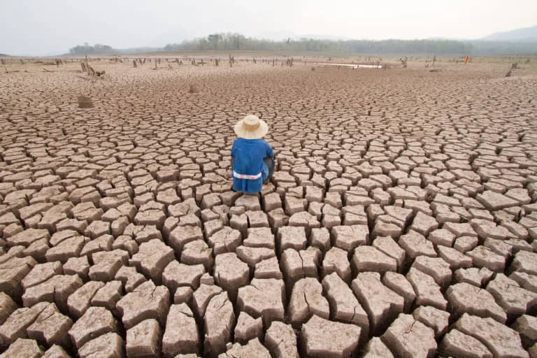 ELIMINAR LOS SUPERCONTAMINANTES PUEDE REDUCIR EL CALENTAMIENTO