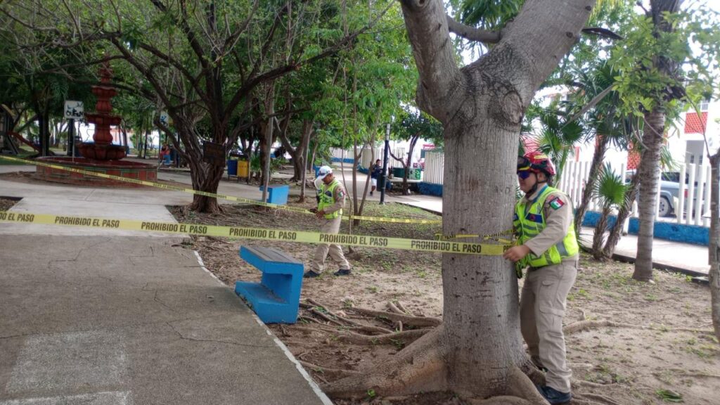 TRABAJA SOLIDARIDAD EN MATERIA DE PREVENCIÓN POR FENÓMENOS HIDROMETEOROLÓGICOS