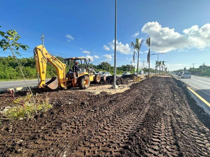 CONTINÚAN RENOVANDO EL CAMELLÓN DE LA CARRETERA FEDERAL