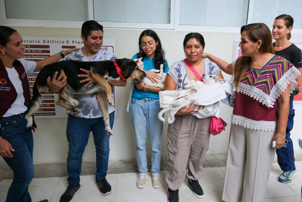 Promueven campaña de esterilización gratuita para perros y gatos en Cancún