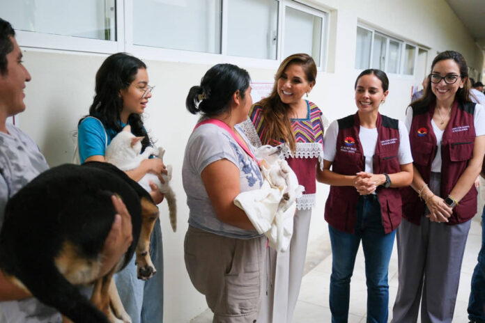 Promueven campaña de esterilización gratuita para perros y gatos en Cancún