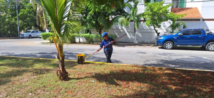 Gobierno municipal refuerza acciones de limpieza y reforestación