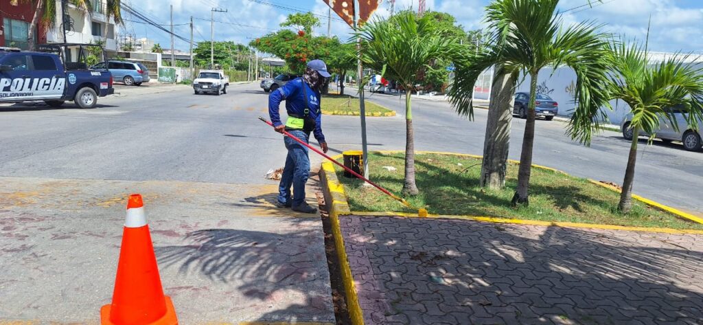 Gobierno municipal refuerza acciones de limpieza y reforestación