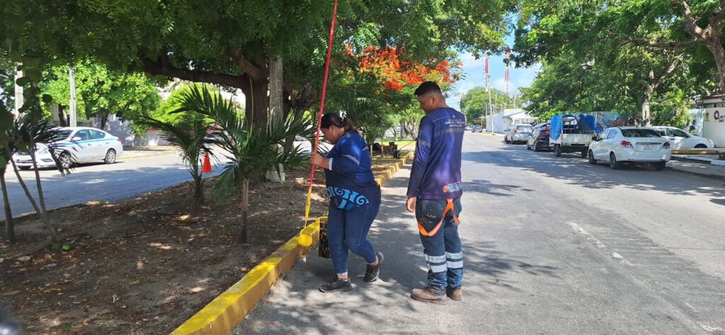 Gobierno municipal refuerza acciones de limpieza y reforestación