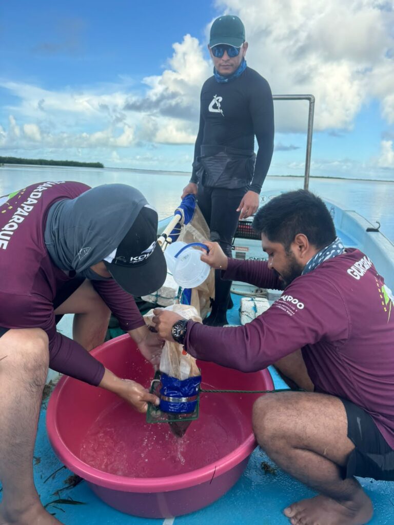 IBANQROO Y PESCADORES EN MONITOREO DE CONECTIVIDAD EN EL ARRECIFE MESOAMERICANO