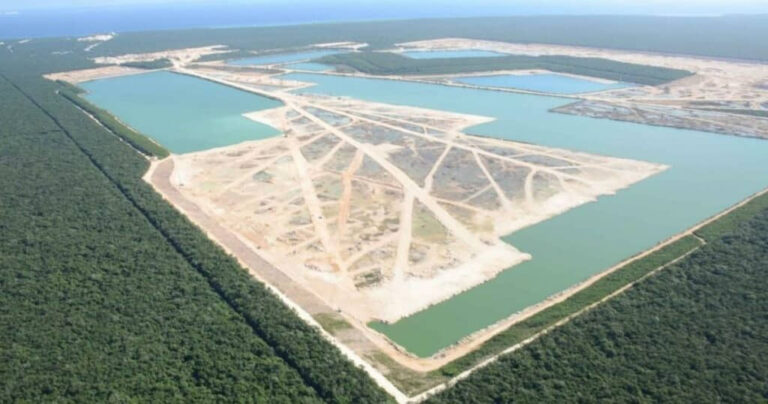 FELIPE CARRILLO PUERTO: UN PASO HACIA LA JUSTICIA AMBIENTAL EN QUINTANA ROO