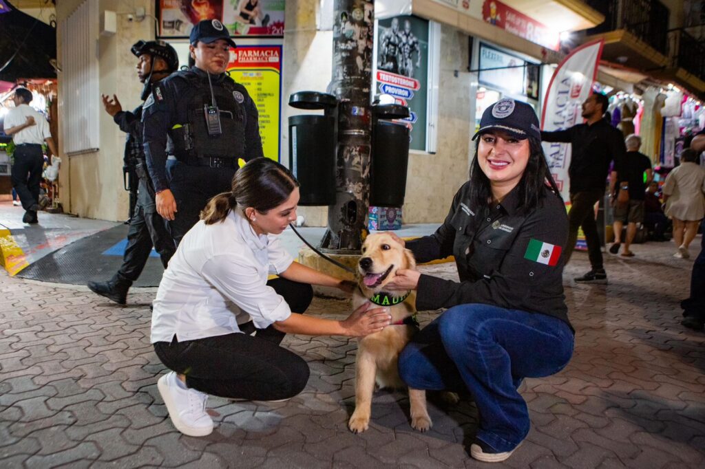 "Trabajaremos para construir la paz en Solidaridad", afirma Estefanía Mercado