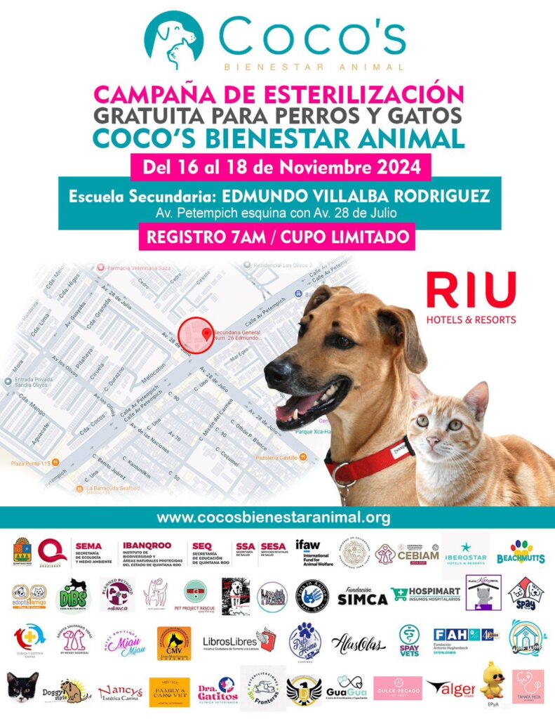 PROGRAMAN ESTERILIZACIÓN GRATUITA DE PERROS Y GATOS