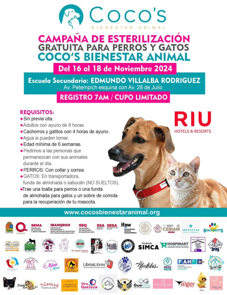 Programan esterilización gratuita de perros y gatos