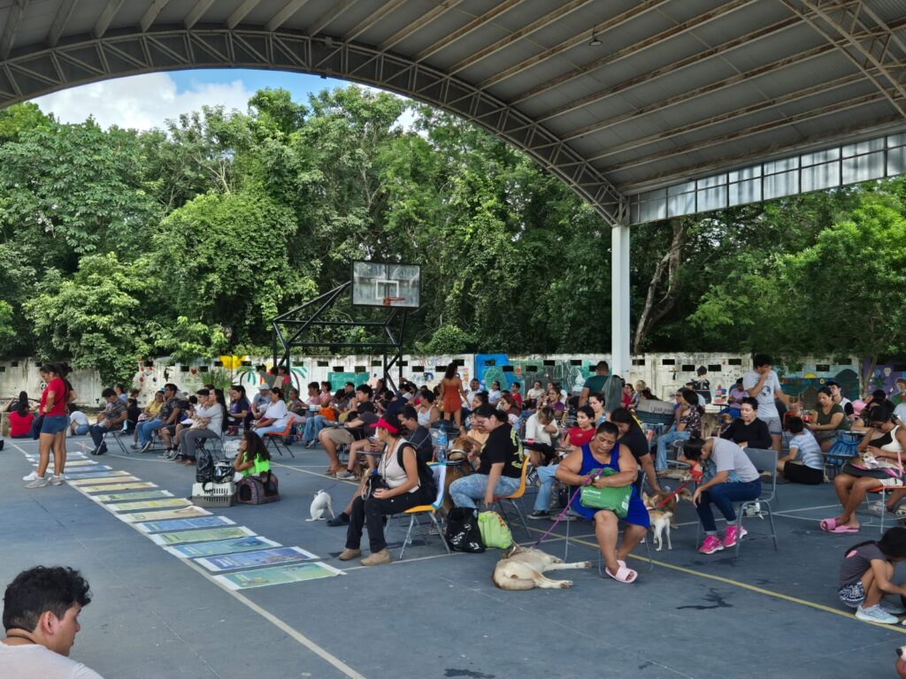 Concluye con gran éxito la Campaña Anual de Esterilización Canina y Felina en Playa del Carmen