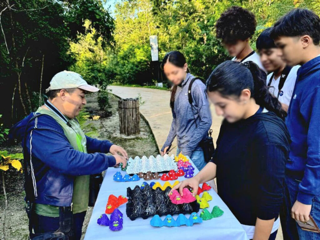 PARTICIPAN ESTUDIANTES EN ACTIVIDAD DE OBSERVACIÓN DE AVES EN COZUMEL