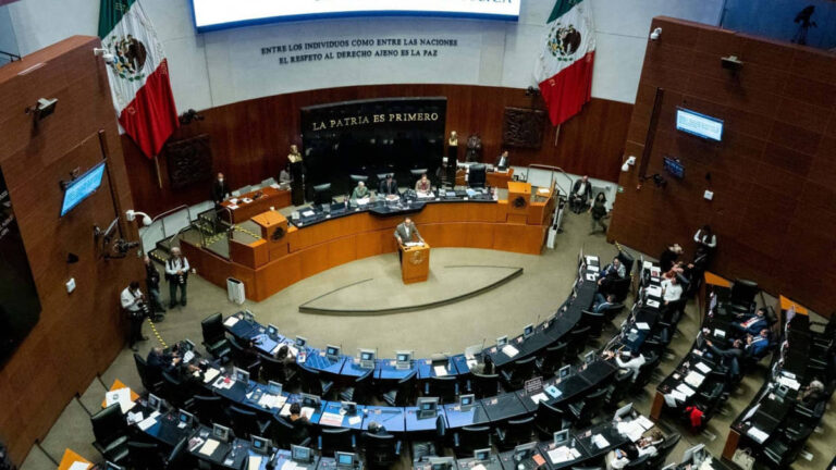 LOS ANIMALES AHORA TIENEN DERECHOS CONSTITUCIONALES EN MÉXICO