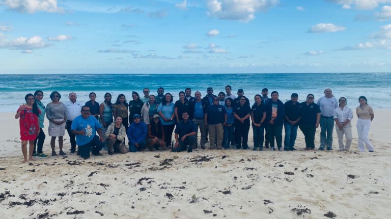 XCACEL-XCACELITO CELEBRA LOGROS EN LA PROTECCIÓN DE LA TORTUGA MARINA EN QUINTANA ROO