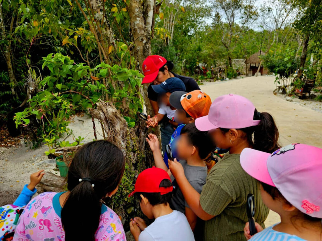 PARTICIPA Y CONECTA CON LA NATURALEZA EN COZUMEL ESTE 28 DE DICIEMBRE