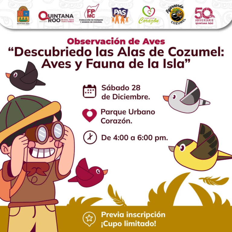 PARTICIPA Y CONECTA CON LA NATURALEZA EN COZUMEL ESTE 28 DE DICIEMBRE